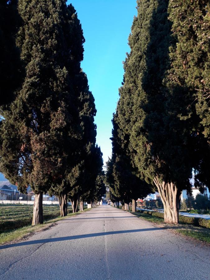 Guest House Villa Angaran San Giuseppe Bassano del Grappa Dış mekan fotoğraf